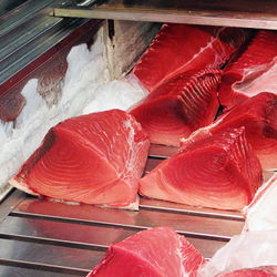 Tokyo's Famous Tsukiji Fish Market - Recipe photo by foodnouveau