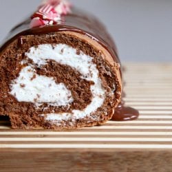 Chocolate Peppermint Roll - Recipe photo by joythebaker