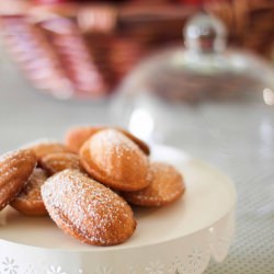 Butterscotch Madeleines - Recipe photo by acupcakeortwo