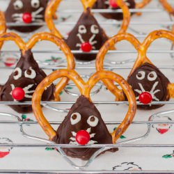Christmas Mouse - Recipe photo by whatwillwedotoday