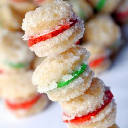 Pill Bottle Cookies - Recipe photo by thehandicappedkitchen