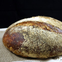 No Knead Bread - Recipe photo by biftekfrites