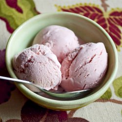 Tart Pomegranate Frozen Yogurt - Recipe photo by aishahias