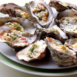 Oyster in a Creamy Camembert Sauce - Recipe photo by alison