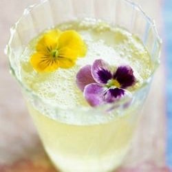 Blooming Fizz - Recipe photo by drinkoftheweek