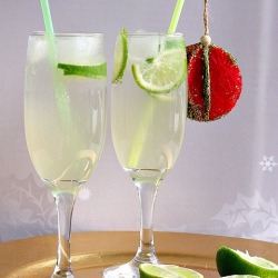 Homemade Ginger Ale - Recipe photo by alison