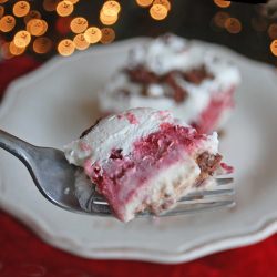 Raspberry Frozen Dessert - Recipe photo by CakeStudent