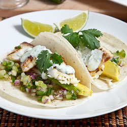 Cilantro and Lime Fish Tacos - Recipe photo by closetcooking