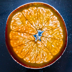 What is an Orange? - Recipe photo by Buntworthy