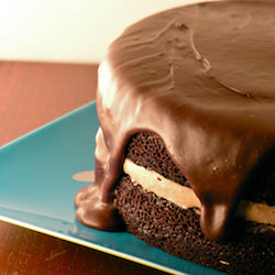 Chocolate Mousse Cake - Recipe photo by easybaked