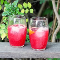 Blood Orange Gin Sparkler - Recipe photo by Kitchen Konfidence