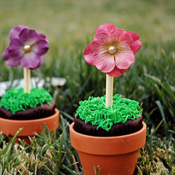 Flower Pot Cupcakes - Recipe photo by Simmerblog