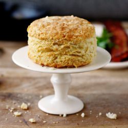 Kentucky Hot Browns and Biscuits - Recipe photo by tara