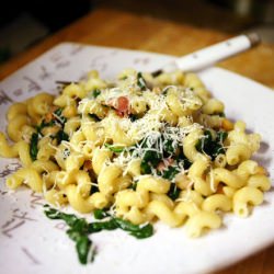 Cavatappi with Bacon - Recipe photo by herbielikesspaghetti