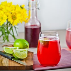 Blood Plum Cordial - Recipe photo by delicieux