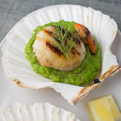 A Trio of Scallops - Recipe photo by Stasty
