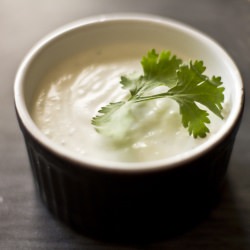 Creamy Healthy Hearty Dips - Recipe photo by Drina C