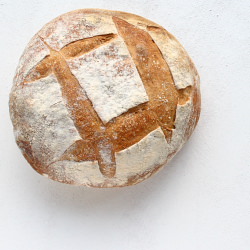 Sourdough Bread - Recipe photo by righteye
