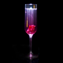 The Sparkling Hibiscus - Recipe photo by Drina C