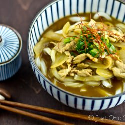 Curry Udon - Recipe photo by Just One Cookbook