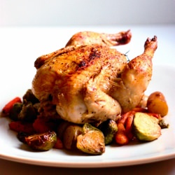 Cornish Hens with Vegetables - Recipe photo by Red_Shallot