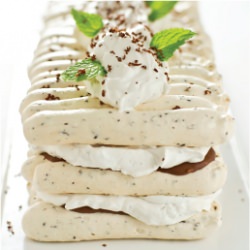Mint Chocolate Vacherin - Recipe photo by todaysnest