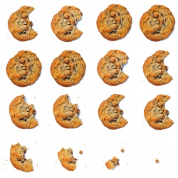 Chocolate Chip Cookies - Recipe photo by erinschubert