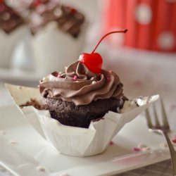 Chocolate Cupcakes with Fudge Icing - Recipe photo by bitsofsunshine