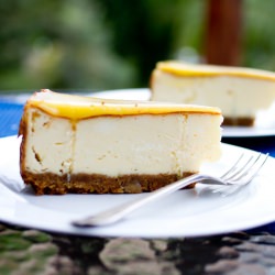 Lime and Ginger Cheesecake - Recipe photo by NicCooks