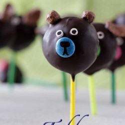 Animal Truffle Pops - Recipe photo by Littlefoodjunction