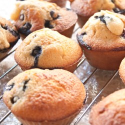 Blueberry Muffins - Recipe photo by lovelycookingdays