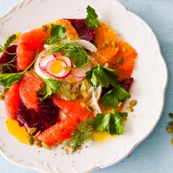 Fennel and Citrus Salad - Recipe photo by sallypv
