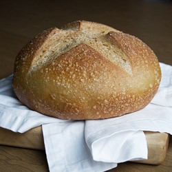 Whole Wheat Cast Iron Bread - Recipe photo by themusicianwhocooks