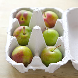Greengage Clafoutis - Recipe photo by vanille