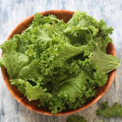 Baked Kale Chips - Recipe photo by Dishesfrommykitchen