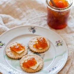 Kumquat Marmalade - Recipe photo by yummy supper