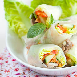 Vietnamese Springrolls - Recipe photo by Junglefrog