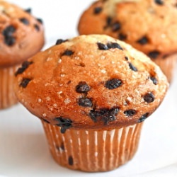 Chocolate Chip Muffins - Recipe photo by LemonDrop