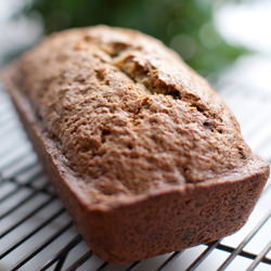 Chocolate Zucchini Bread - Recipe photo by annacostafood