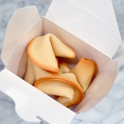 Homemade Fortune Cookies - Recipe photo by setonh