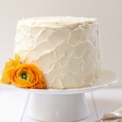 Blood Orange Cake - Recipe photo by vytran