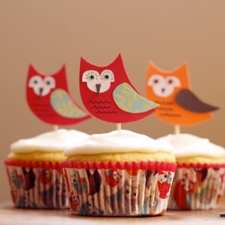 Owl Cupcakes - Recipe photo by cosmocookie