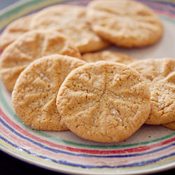 Salted Peanut Butter Cookies - Recipe photo by TheMeaningofPie