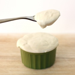 Eggless Homemade Mayo - Recipe photo by j3nn.net