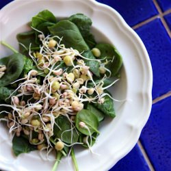 Bean and Pea Sprouts - Recipe photo by GardenTherapy