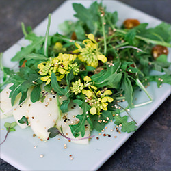 Wild Arugula Salad - Recipe photo by thetomatotart