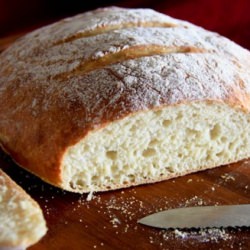 No Knead Artisan Bread - Recipe photo by NatashasKitchen.com