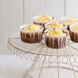 Chocolate Cupcakes - Recipe photo by erinnish