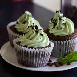 Mint Choc Chip Cupcakes - Recipe photo by Bailey Ana Cakes