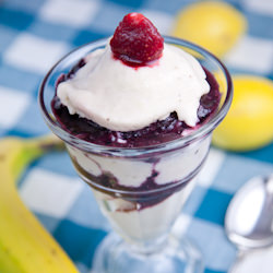 Simple Fruit Sorbets - Recipe photo by PicklesNHoney